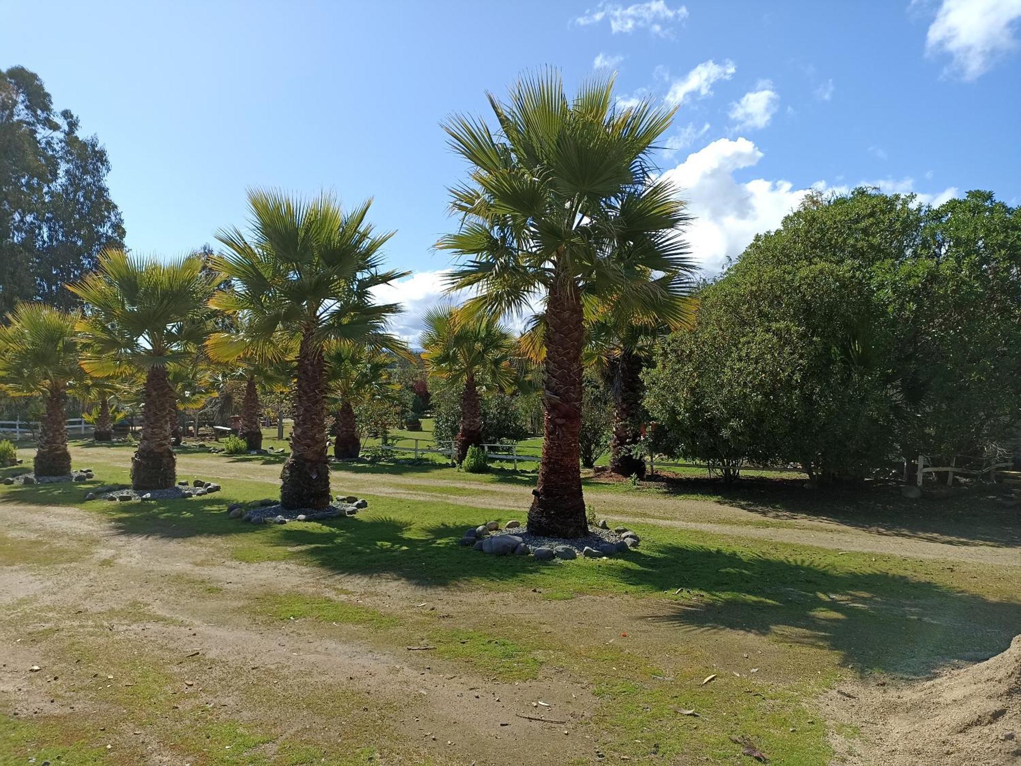 Cabanas La Querencia De Algarrobo Ngoại thất bức ảnh